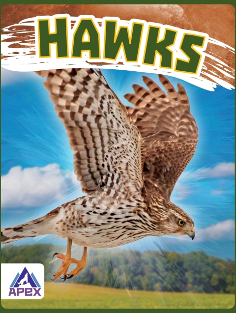 Cover image for book Hawks
