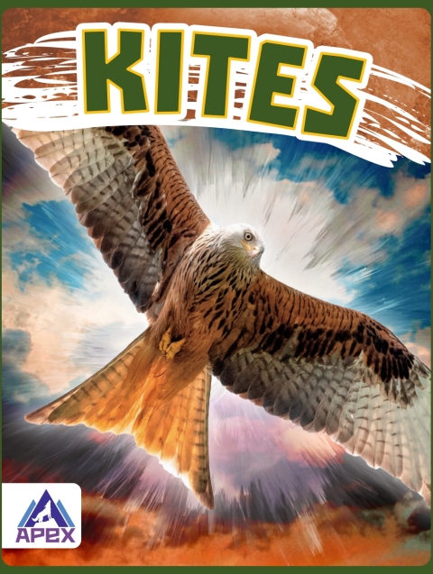 Cover image for book Kites