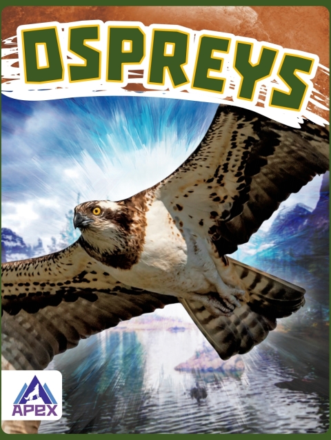 Cover image for book Ospreys