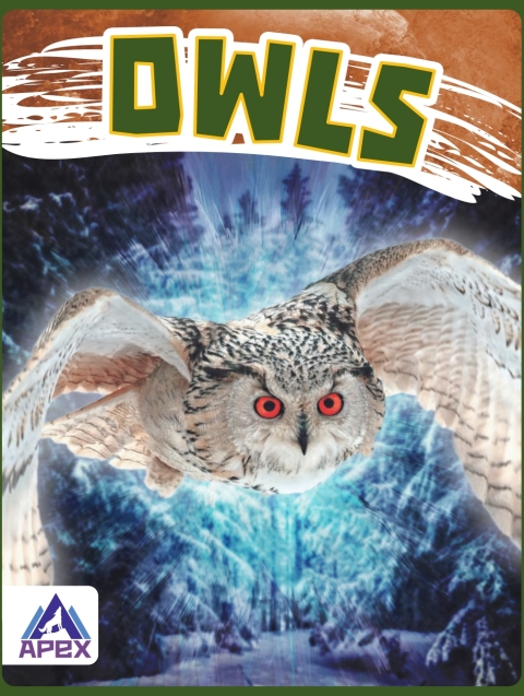 Cover image for book Owls
