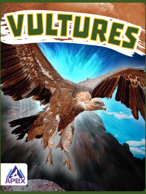 Cover image for book Vultures