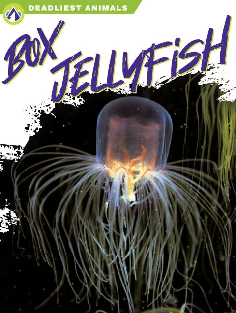 Cover image for book Box Jellyfish