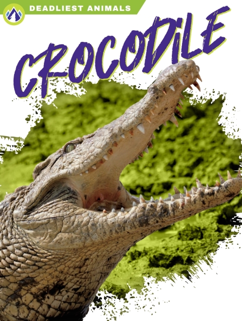 Crocodile 