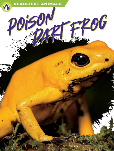 Poison Dart Frog 