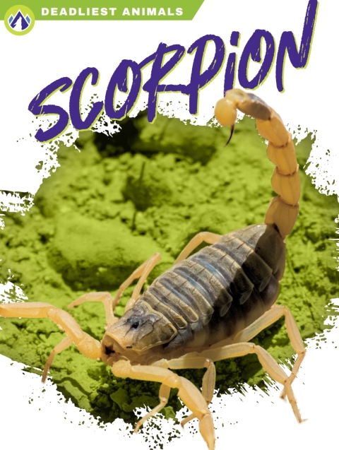Cover image for book Scorpion