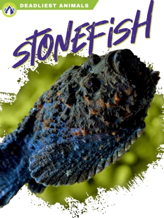 Stonefish