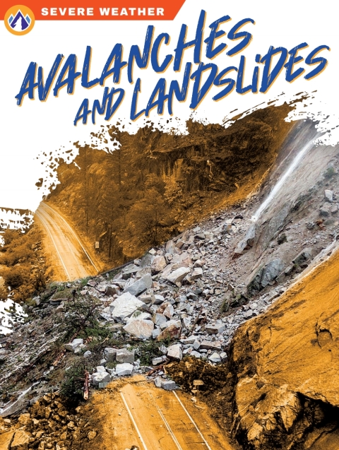 Cover image for book Avalanches and Landslides