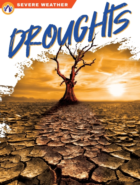 Cover image for book Droughts