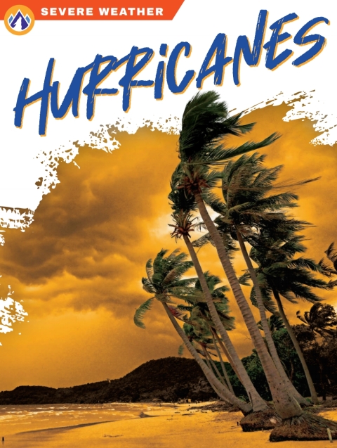 Cover image for book Hurricanes