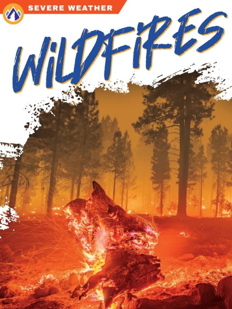 Cover image for book Wildfires