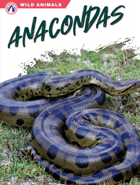 Cover image for book Anacondas