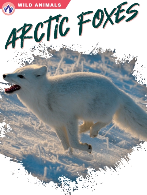 Cover image for book Arctic Foxes