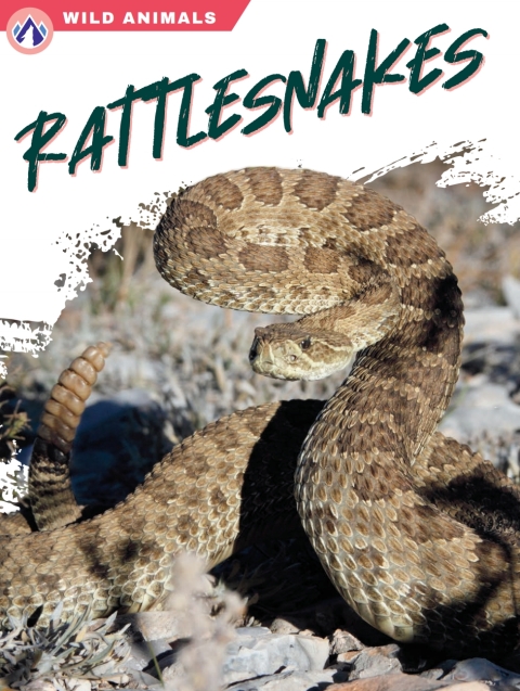 Rattlesnakes 