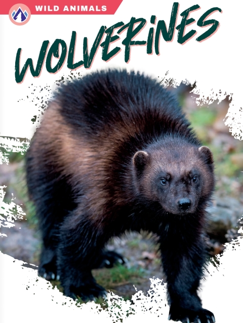Cover image for book Wolverines