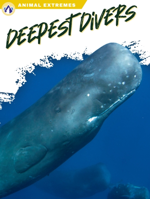 Cover image for book Deepest Divers