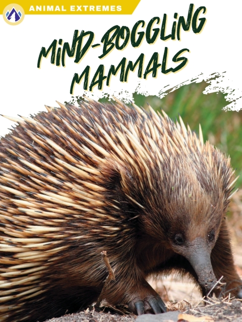 Mind-Boggling Mammals 