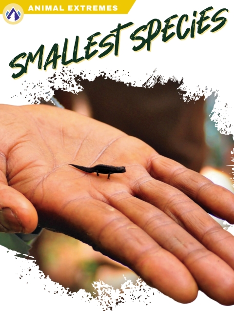Cover image for book Smallest Species