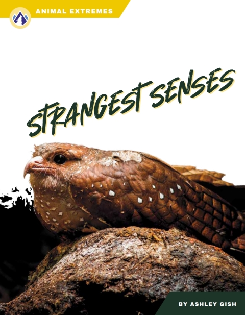 Strangest Senses 