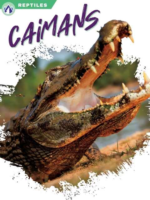 Cover image for book Caimans