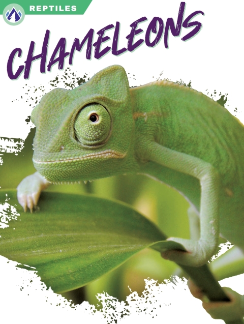 Cover image for book Chameleons
