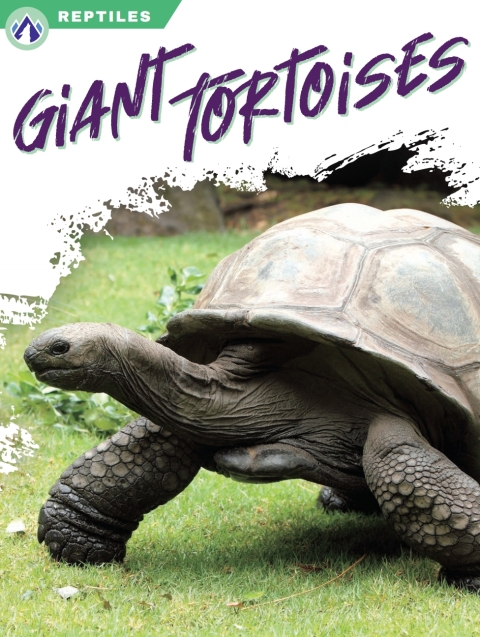Cover image for book Giant Tortoises