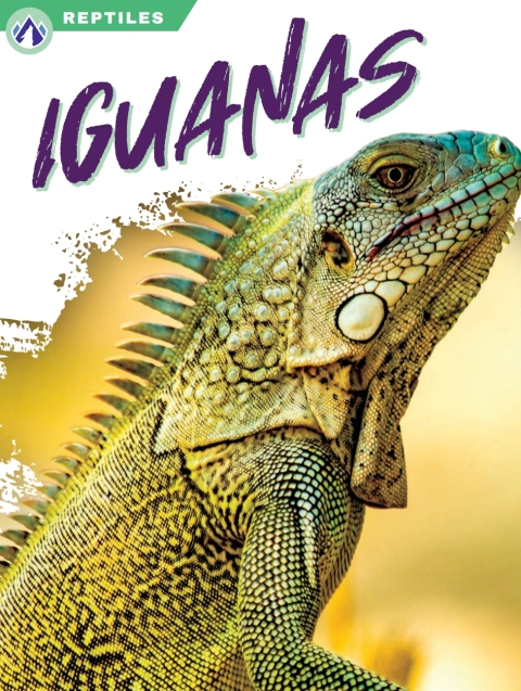 Cover image for book Iguanas