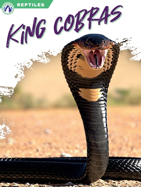 Cover image for book King Cobras