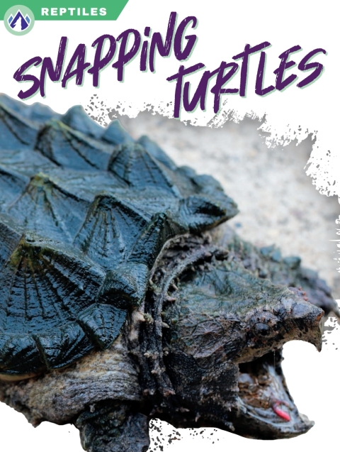 Cover image for book Snapping Turtles