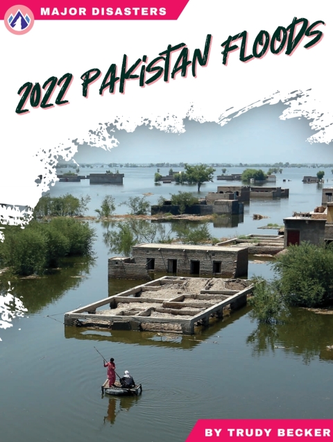 Cover image for book 2022 Pakistan Floods