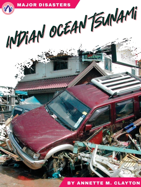 Cover image for book Indian Ocean Tsunami