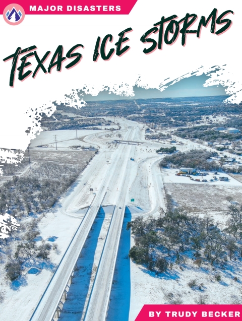 Cover image for book Texas Ice Storms