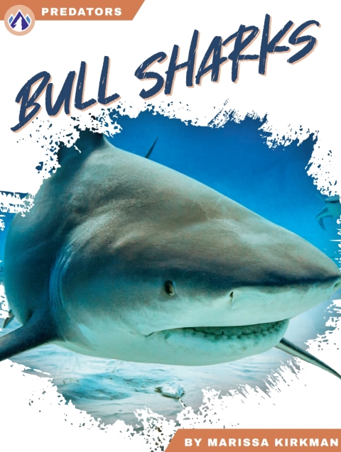 Bull Sharks 