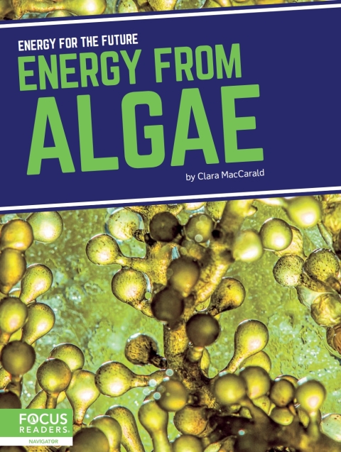 Energy from Algae 