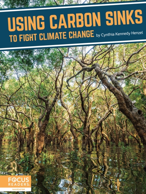 Cover image for book Using Carbon Sinks to Fight Climate Change