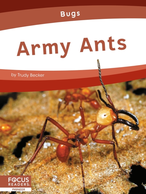 Cover image for book Army Ants