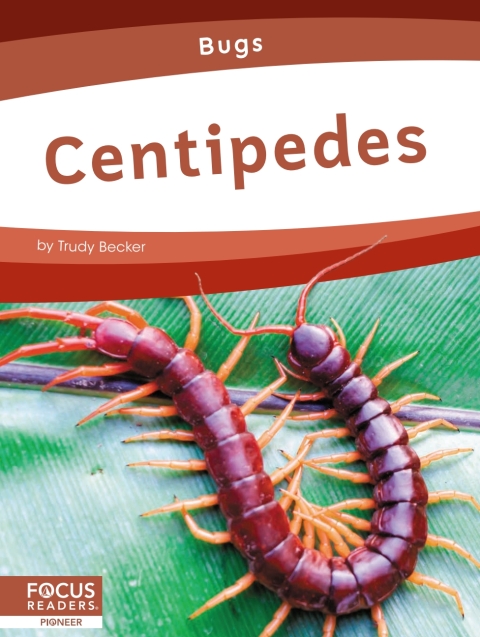 Cover image for book Centipedes