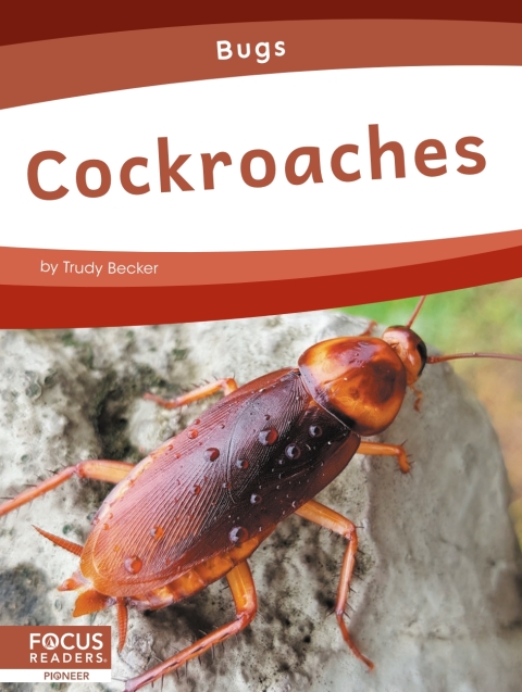 Cover image for book Cockroaches