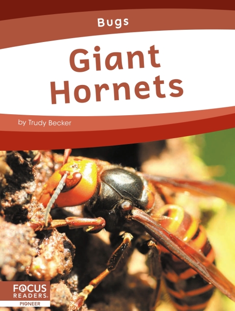 Cover image for book Giant Hornets