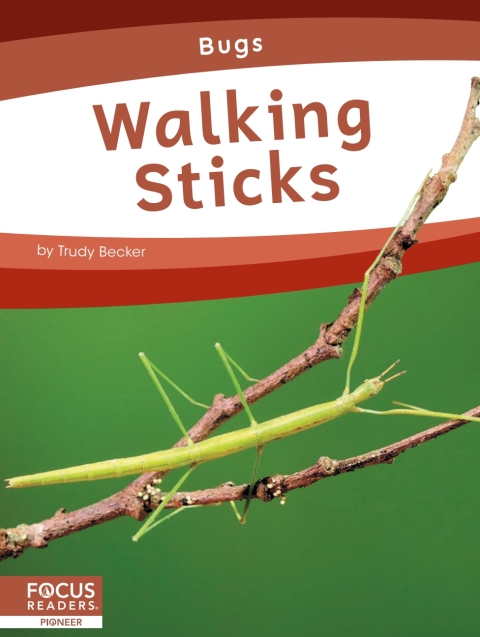 Cover image for book Walking Sticks