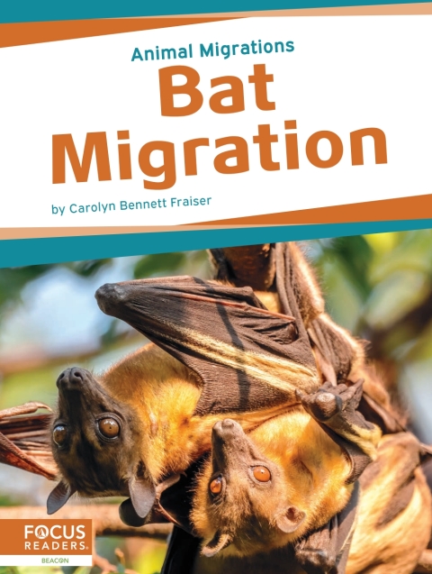 Cover image for book Bat Migration