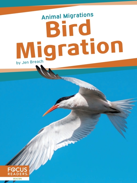 Cover image for book Bird Migration