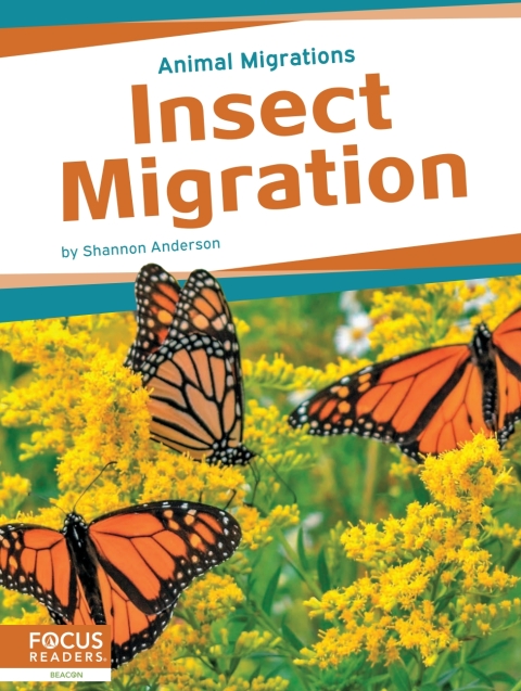 Cover image for book Insect Migration