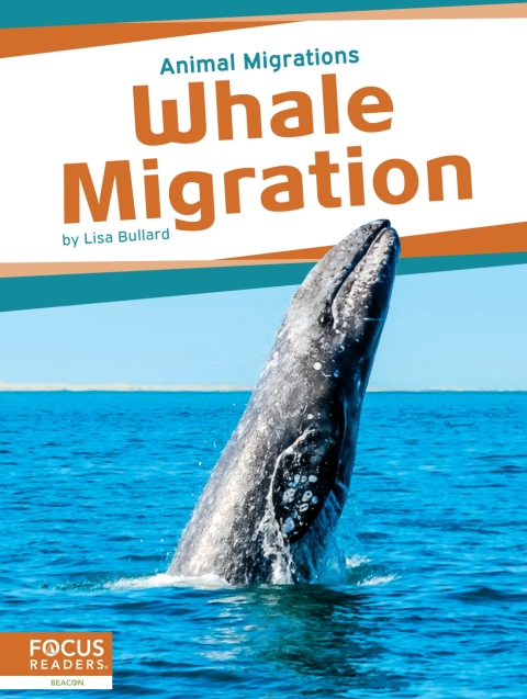 Whale Migration 