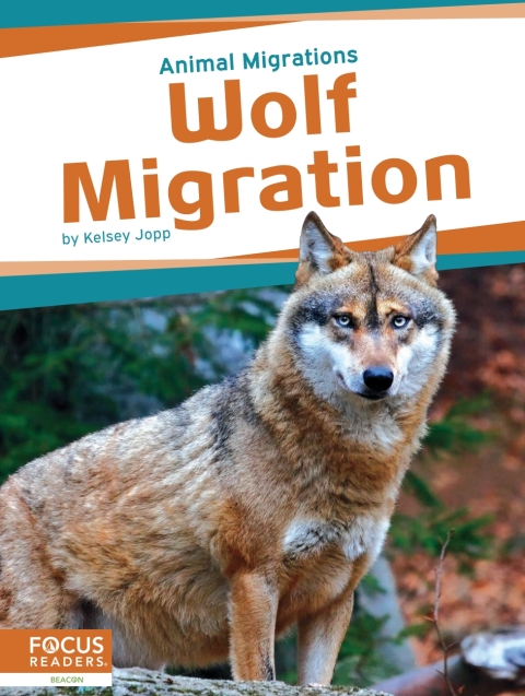 Cover image for book Wolf Migration