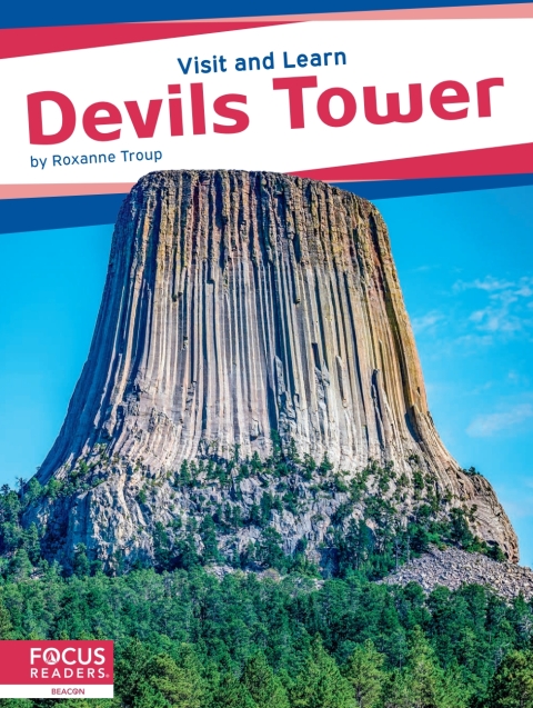 Cover image for book Devils Tower