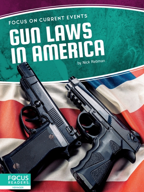 Cover image for book Gun Laws in America