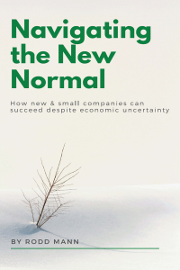 Cover image: Navigating the New Normal 9781637420201