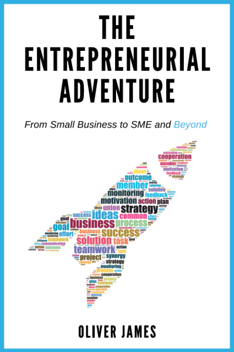 The Entrepreneurial Adventure 