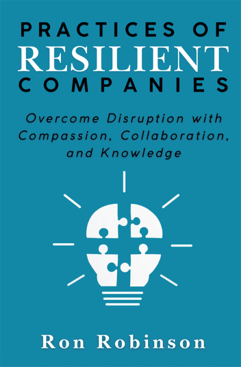 Cover image for book Practices of Resilient Companies