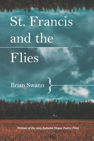 St. Francis and the Flies